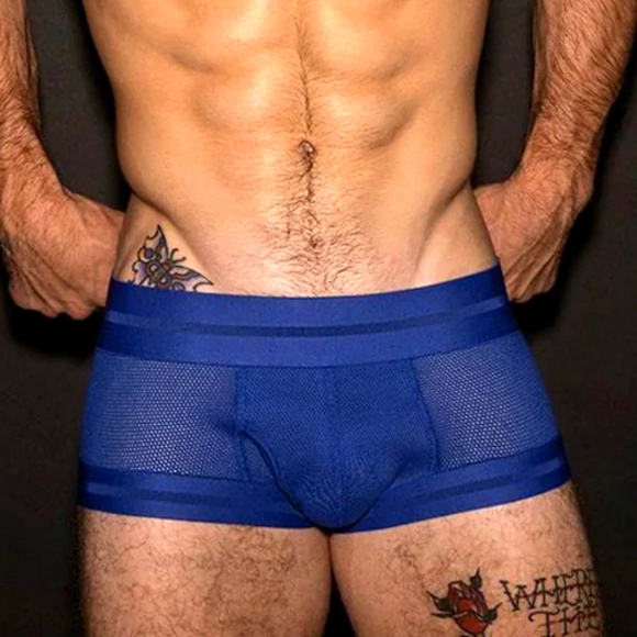 Men's Blue Briefs - Picture 1 of 6